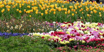 沈陽世博園 花卉之外的生態(tài)綠洲——蔬菜園區(qū)的魅力探索